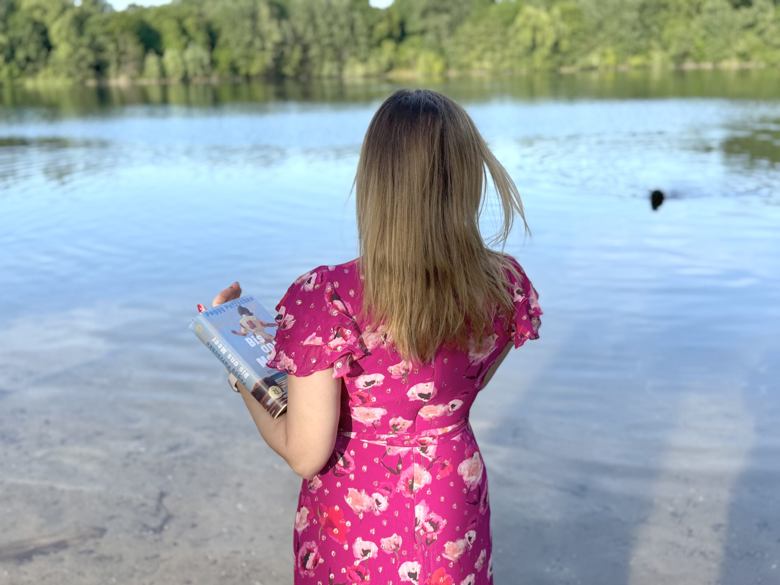 Titelbild Bis ans Meer